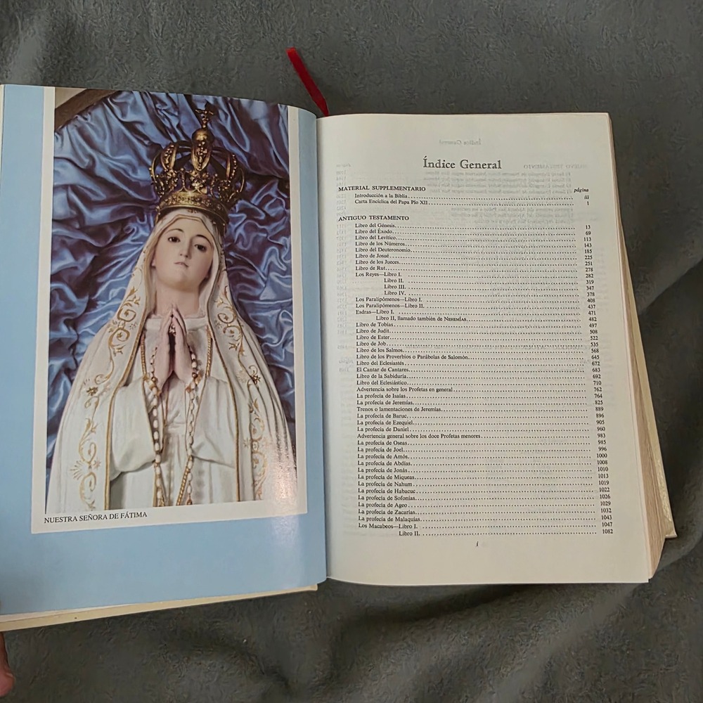 Stampley Sagrada Biblia Spanish Holy Bible White Gold Gilded Nueva Guadalupana - Picture 10 of 12